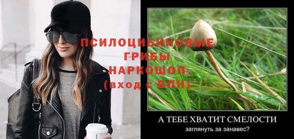 наркотики Каменногорск